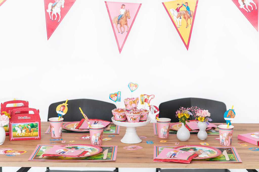 69 Teiliges Bibi und Tina Partyset